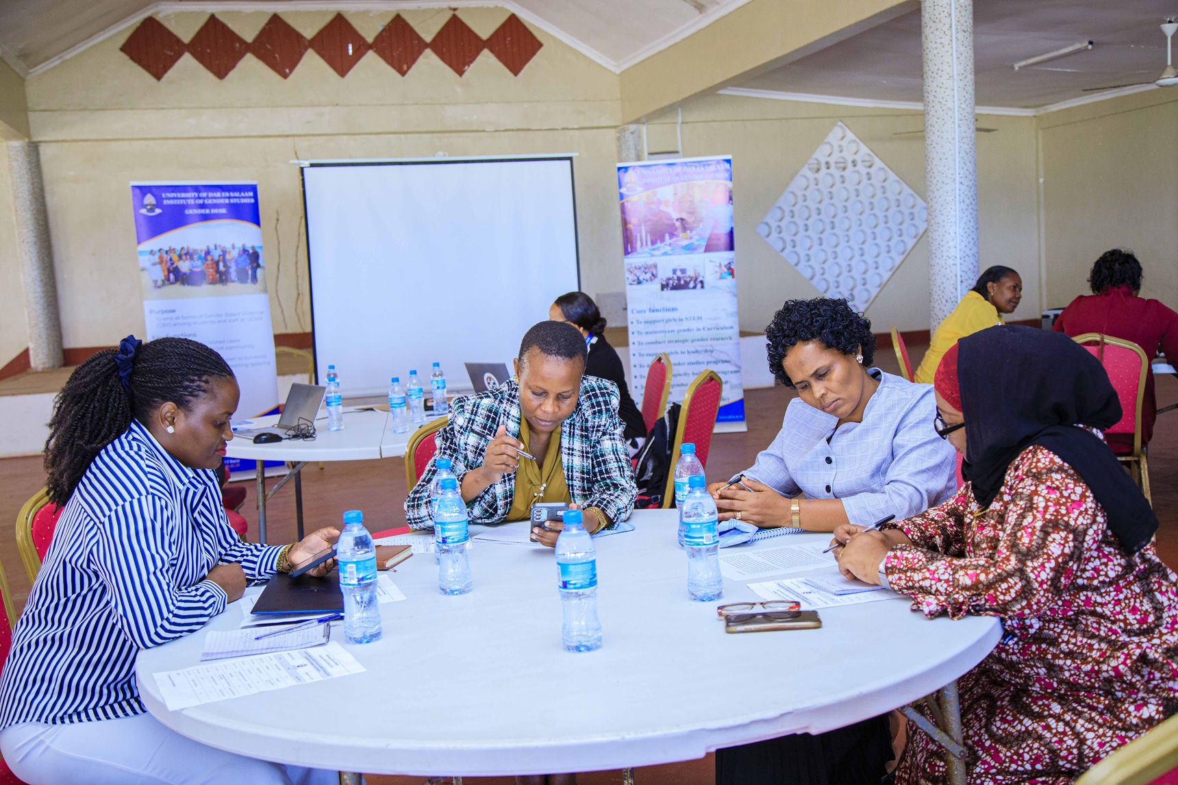 Project Backs UDSM’s Drive to Build a Safer