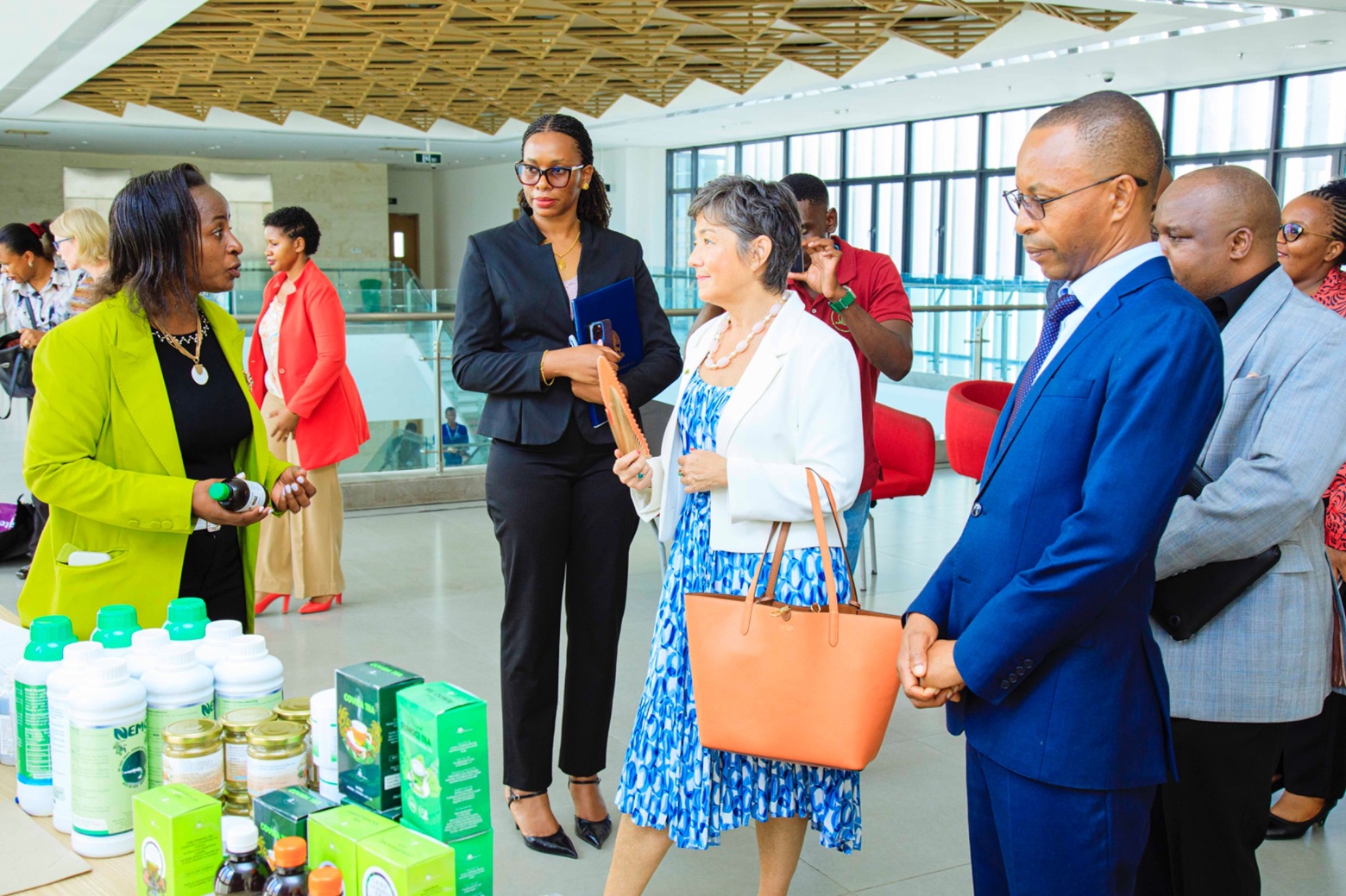 UDSM Champions Sweden–Tanzania Partnership